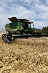 Barley being harvested by a green combine